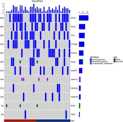 The Genetic Germline Background of Single and Multiple Primary Melanomas